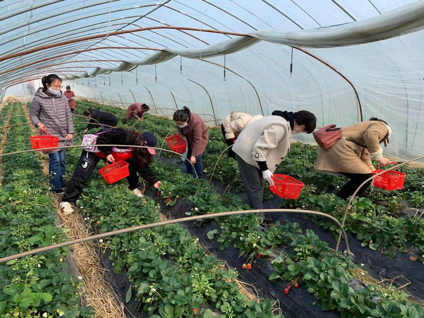 1615257945783191.png 1615257945783191.png